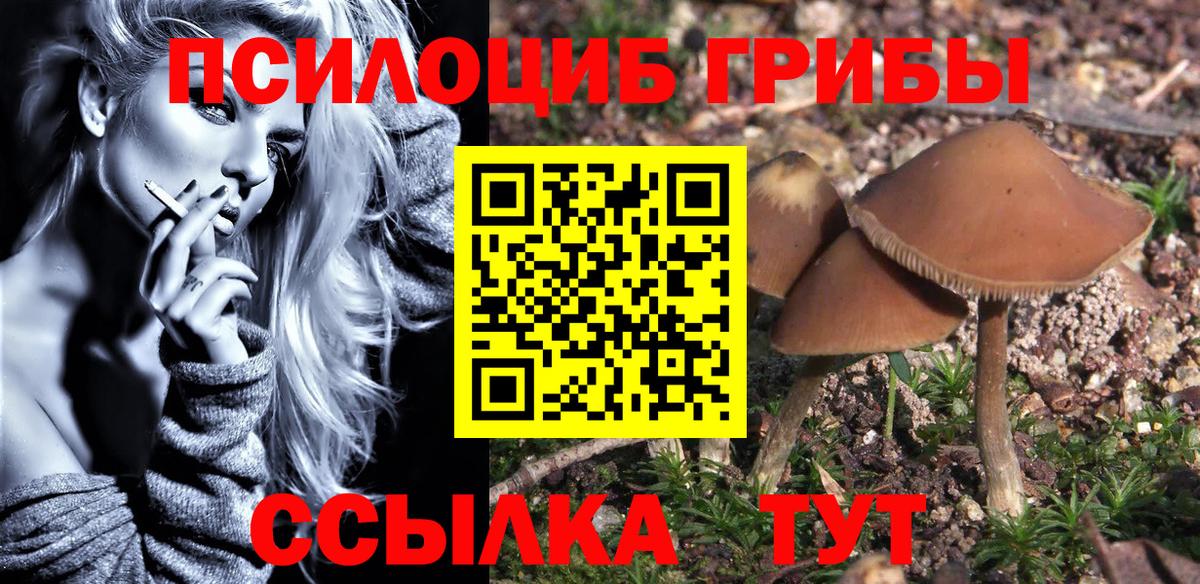 Псилоцибиновые грибы мухоморы Узловая