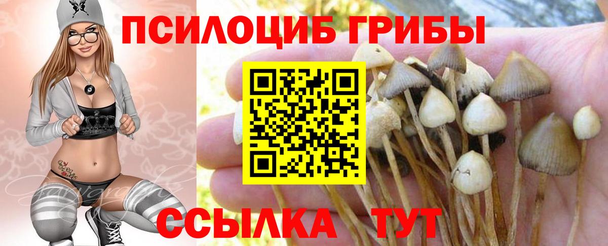 Псилоцибиновые грибы MAGIC MUSHROOMS  Вход с VPN  Узловая 